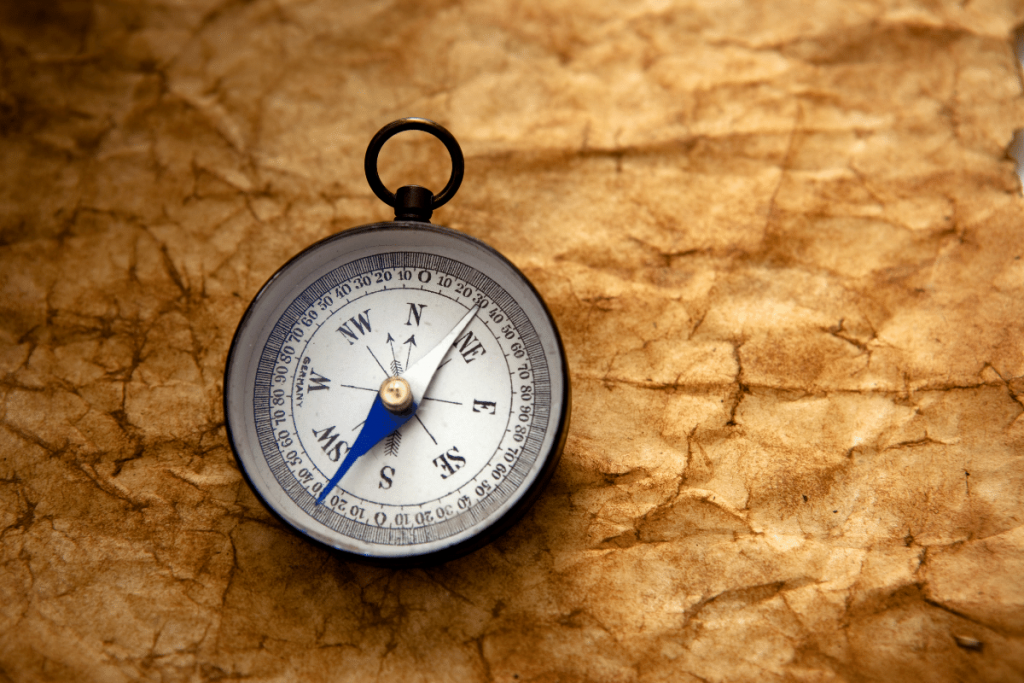 Lioness Press offers new direction