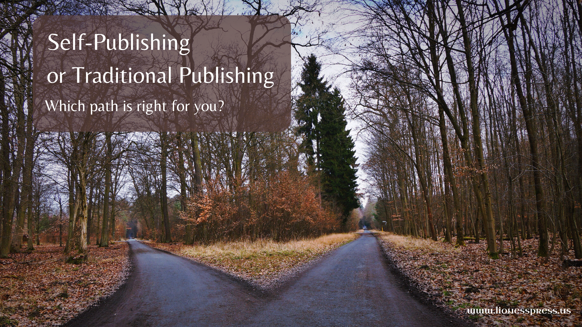 traditional publishing vs. self-publishing