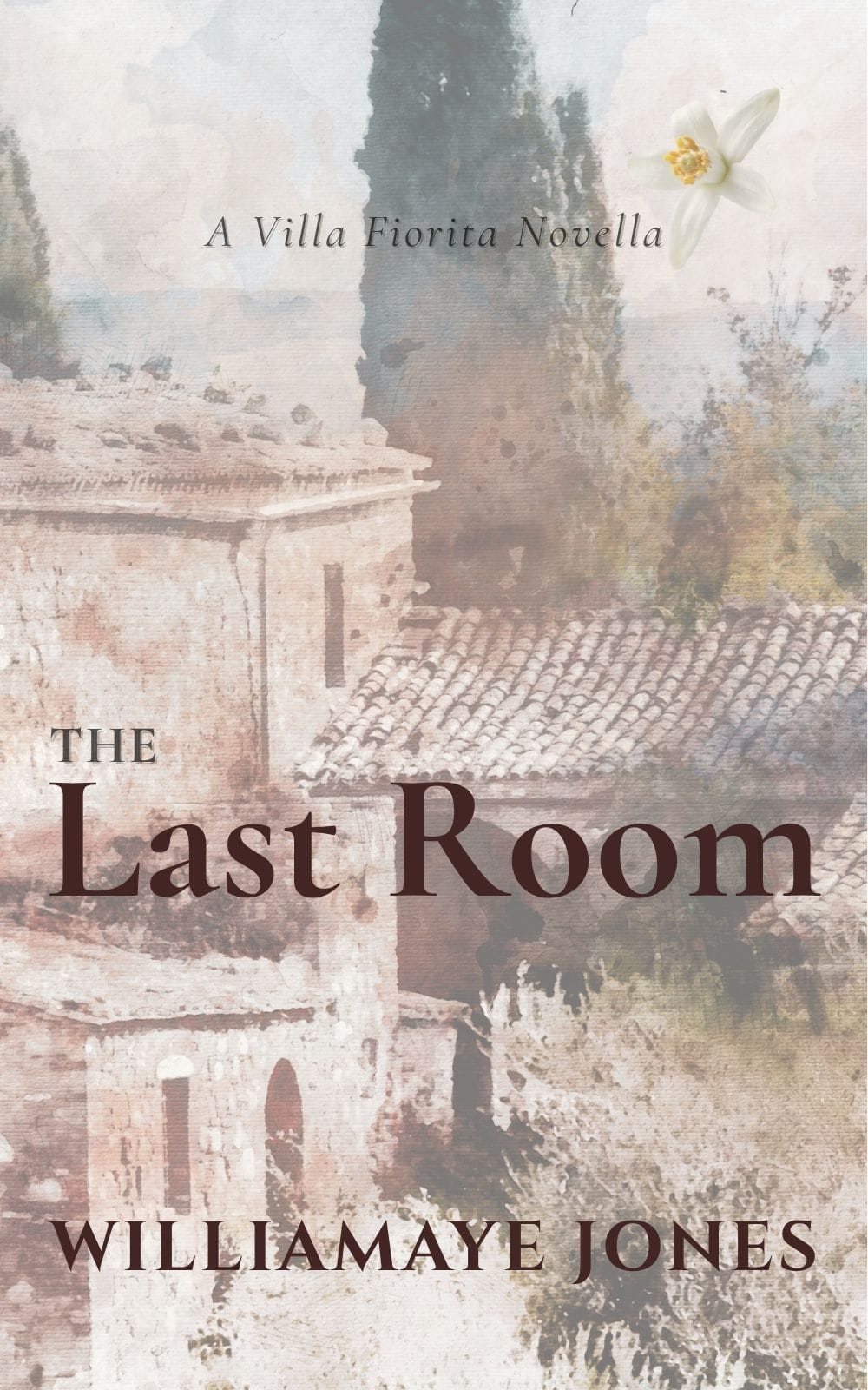 The Last Room by Williamaye Jones book cover